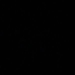 Meet your Posher, Joey